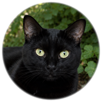 House Panther :verified_paw: :archlinux: :almalinux: :debian: :freebsd: